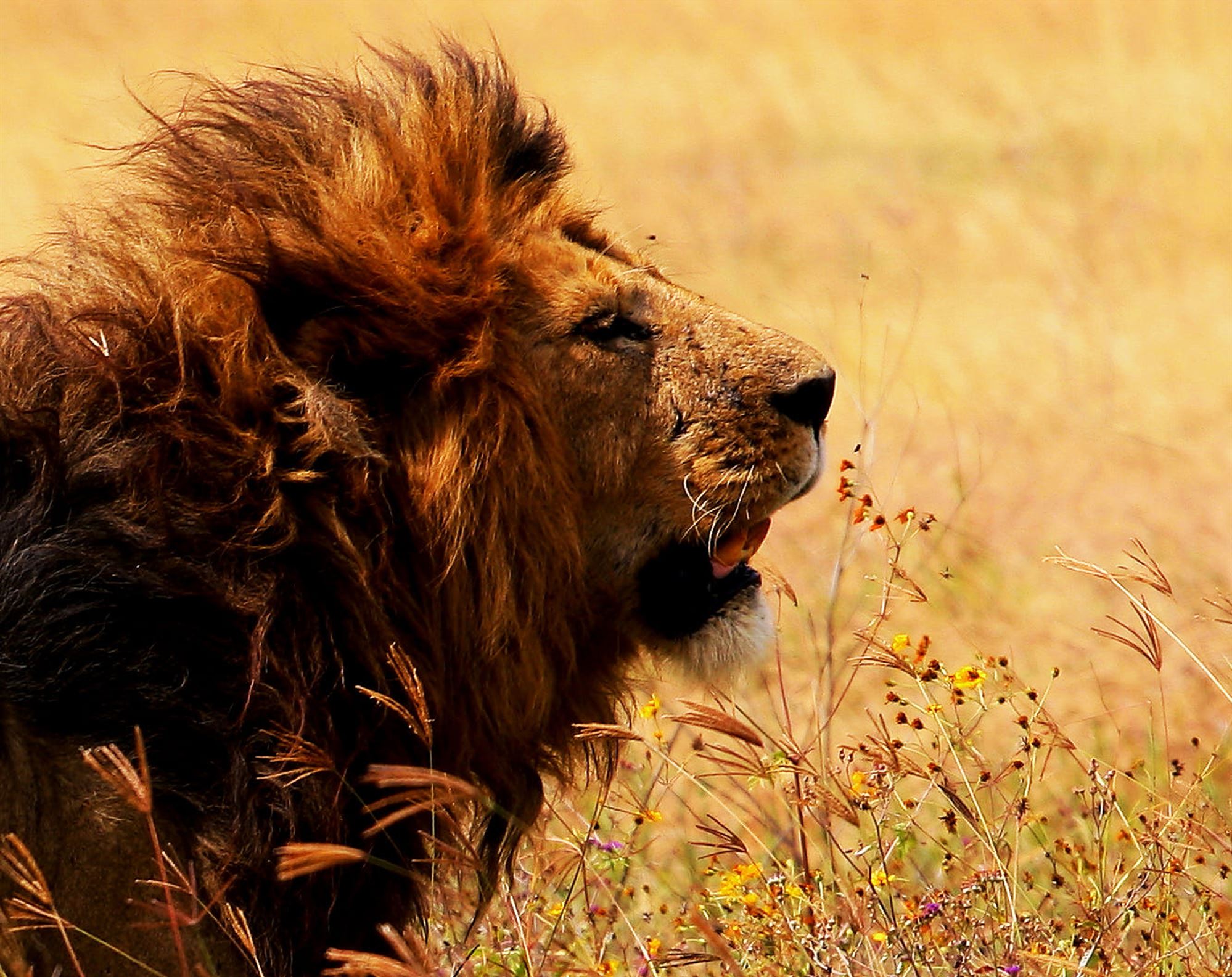 a-beautiful-wildlife-in-the-world-in-pictures-2023-12-21-18-03-00-utc