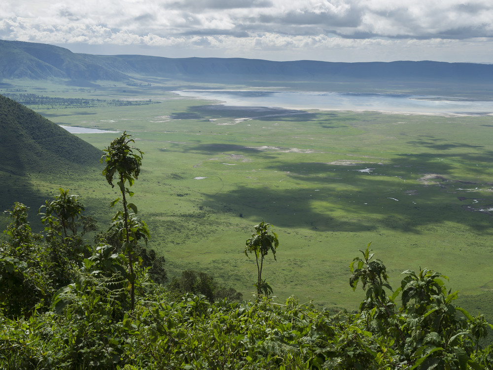 256db94ef5376e8421_1000x750